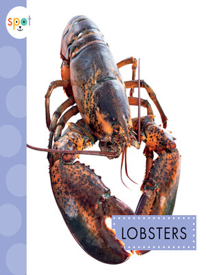 cover image of Lobsters